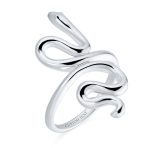 Egyptian Snake Silver Ring Band for Garden Animal Pet Reptile Lovers - Image 4