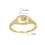 North Star Design Diamond Chip 14K Gold Pinky Ring - Image 4