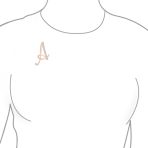 Large Statement ABC Crystal Letters Initial Scarf Lapel Pin Brooch Rose Gold Plated - Image 11