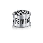 Family Tree of Life Charm Bead Oxidized Silver for European Bracelets - Image 3