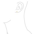 Pet Lover Paw Print Stud Earrings and Safety Clutch 10K Gold - Image 3